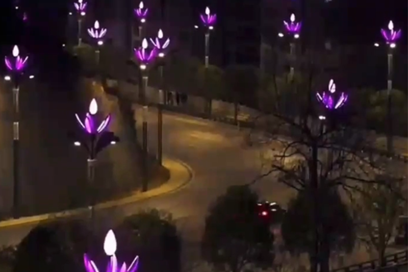 重庆酉阳路灯案例